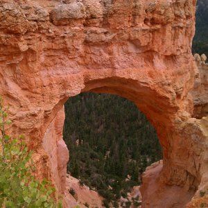 Meet your Posher, Doug